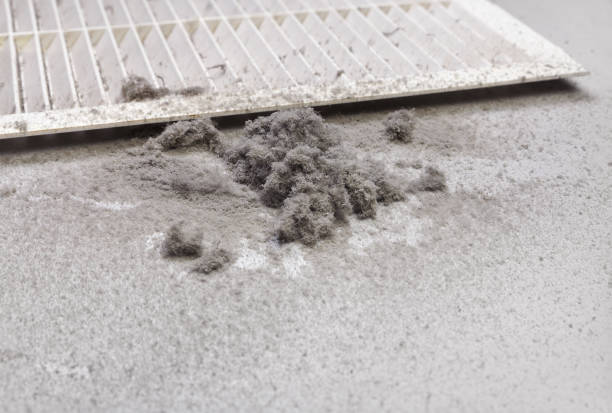 Best Home Air Vent Cleaning  in Lake Mills, IA