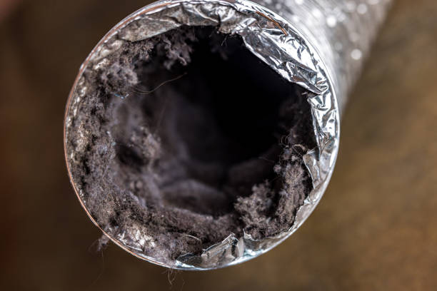 Best Commercial Air Duct Cleaning  in Lake Mills, IA